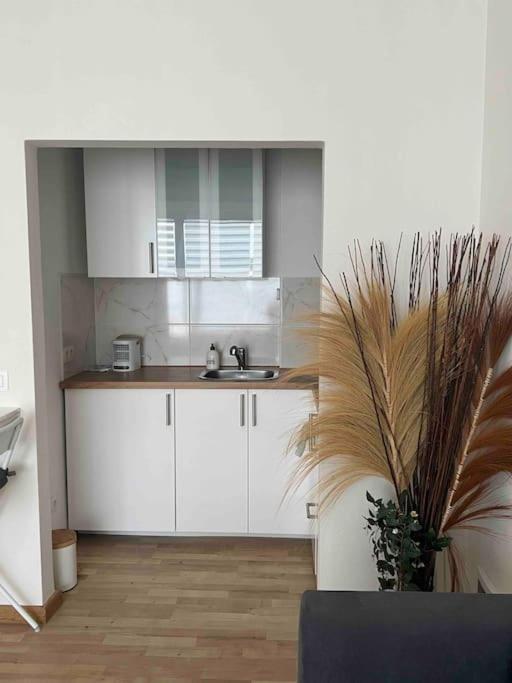 Belgielei 94 Apartment Antwerp Exterior photo